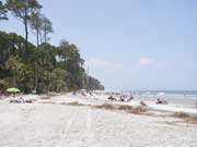 Hunting Island: Come Out & Play!