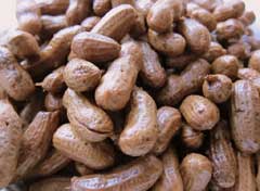 leebros-peanuts-beaufort