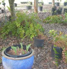Garden-pots