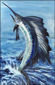 Hooked-Sailfish