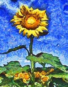 masterpiece-Sunflower-Dimke