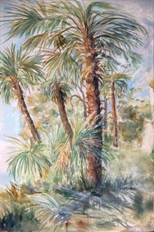 rose-Oak-Island-Palms