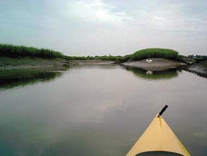 The View from My Kayak