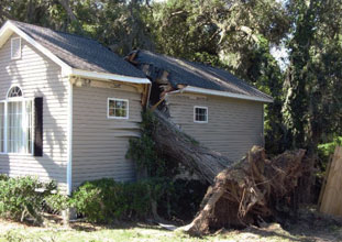 Hurricane-House-vs-Tree