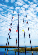 Fishing-Poles--Sky-2