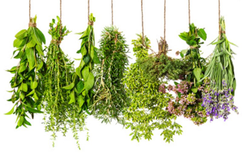 Do You Say Herbs or ‘Erbs? Lowcountry Weekly